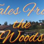 Tales from the Woods: A Unique Soap Opera from the Heart of Laguna Woods