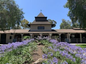 Saddle Up for Adventure at the Laguna Woods Equestrian Center!