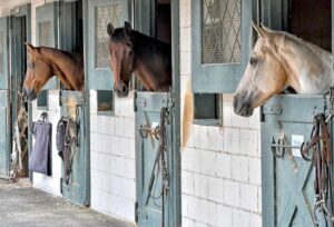 GRF Board Meeting & Trail Rides